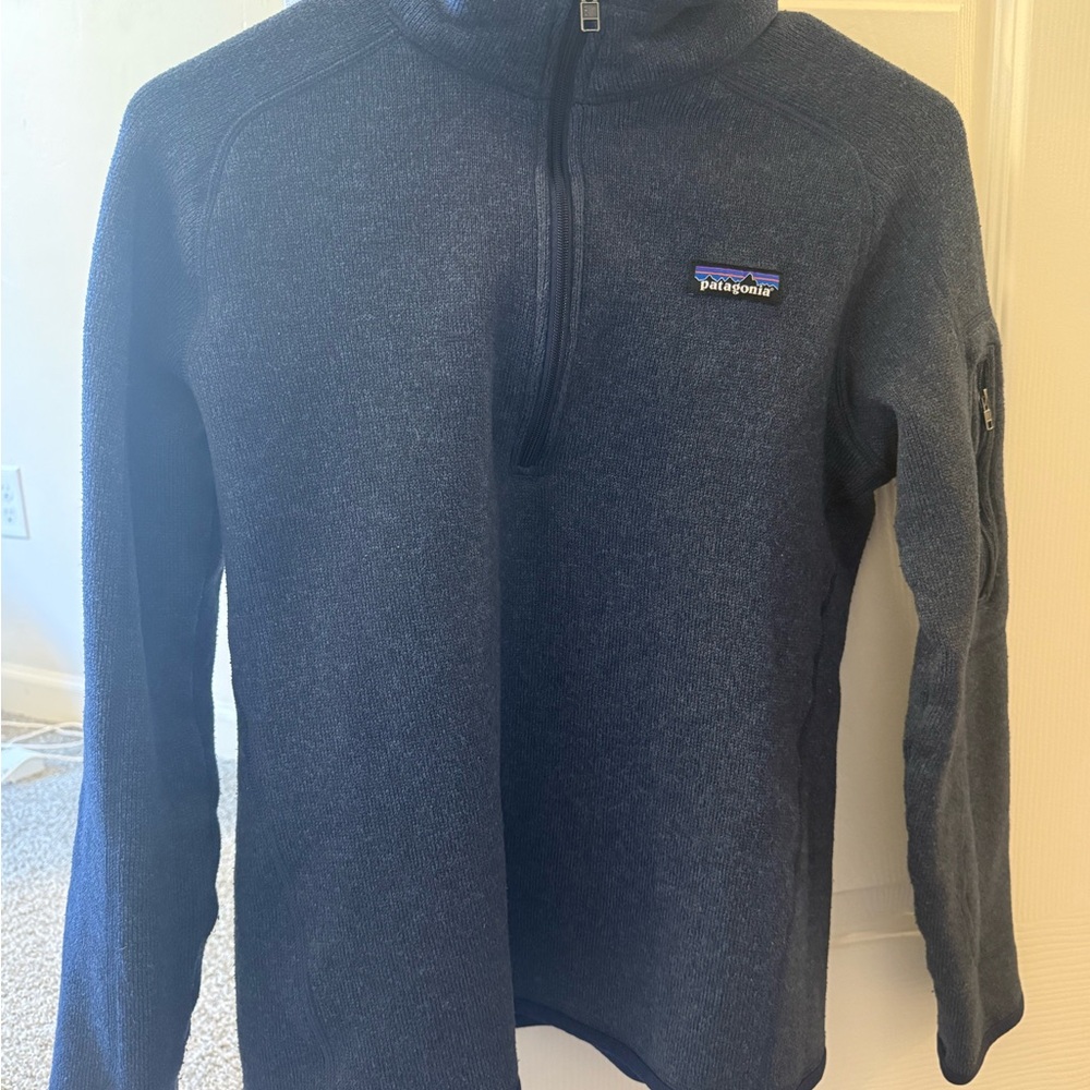 Patagonia Blue Fleece Pullover